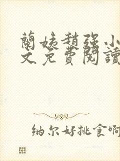 兰姨赵强小说全文免费阅读