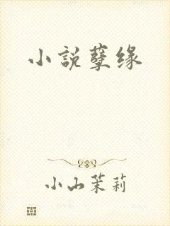 小说孽缘