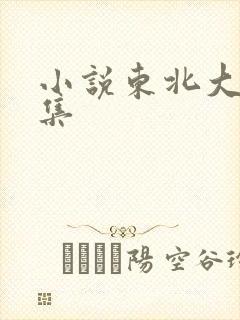 小说东北大炕全集