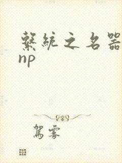 系统之名器攻略np