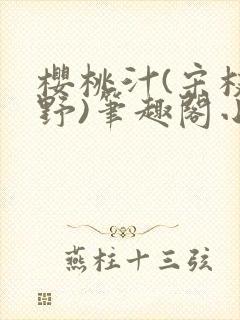 樱桃汁(宋枝江野)笔趣阁小说封面
