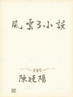 风云3小说