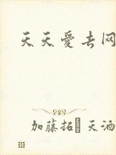 天天爱去网