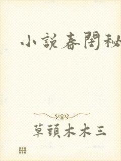 小说春闺秘史封面
