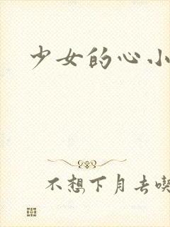 少女的心小说