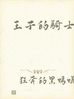 王子的骑士