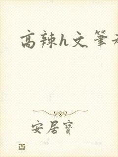 高辣h文笔趣阁