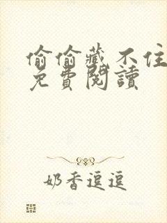 偷偷藏不住小说免费阅读