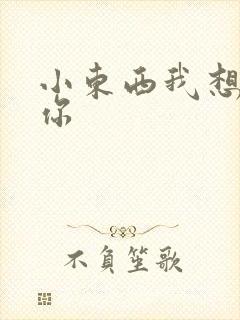 小东西我想弄坏你