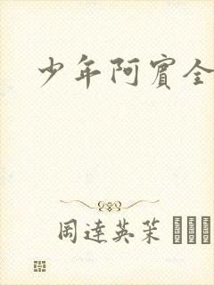 少年阿宾全文封面