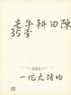 老牛耕田陈雪435章