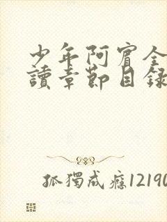 少年阿宾全文阅读章节目录