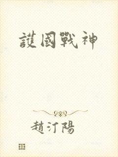 护国战神