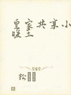 皇家共享小公主暖玉