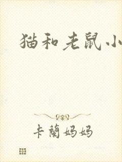 猫和老鼠小说