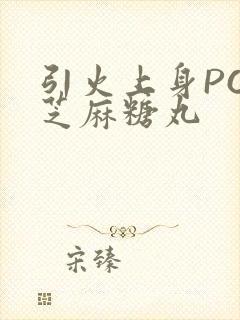 引火上身POP芝麻糖丸