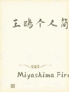 王鸥个人简介封面