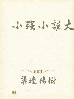 小强小说大全封面