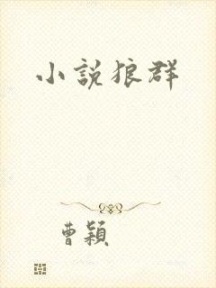 小说狼群
