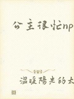 公主很忙npc封面