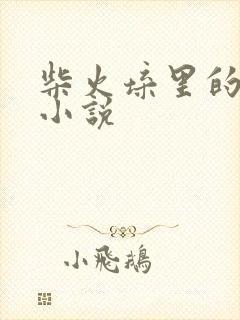 柴火垛里的疯狂小说