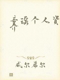 童瑶个人资料简介封面