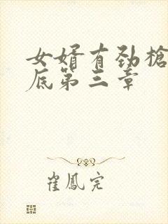 女婿有劲枪枪到底第三章