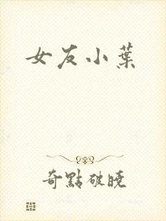女友小叶封面