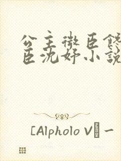 公主微臣馋了微臣沈妤小说封面