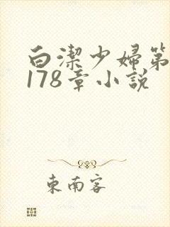 白洁少妇第1一178章小说封面