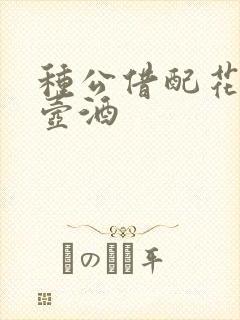 种公借配花间一壶酒