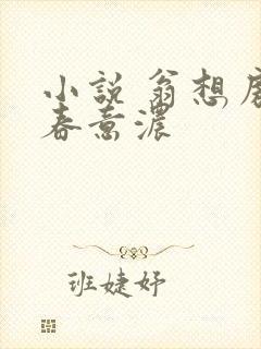 小说 翁想房中春意浓封面