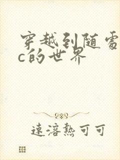 穿越到随处可以c的世界