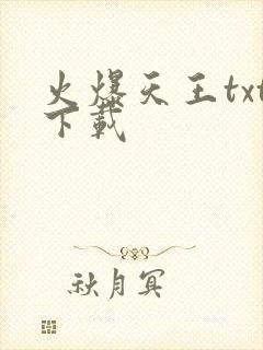 火爆天王txt下载封面