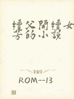 续父开续女包小芳的小说封面