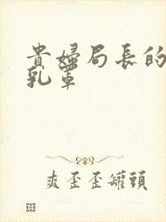 贵妇局长的蕾丝乳罩