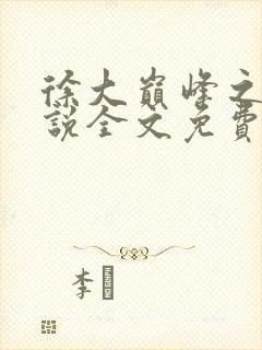 徐大巅峰之路小说全文免费阅读