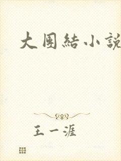 大团结小说全文封面