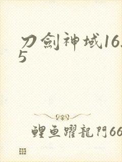 刀剑神域16.5