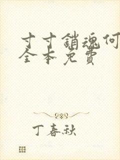 寸寸销魂何生祥全本免费封面