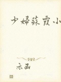 少妇苏霞小说封面