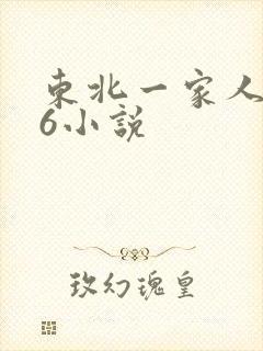 东北一家人1一6小说