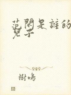 范闲是谁的亲生儿子封面