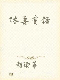 休妻实录封面