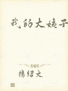 我的大姨子封面