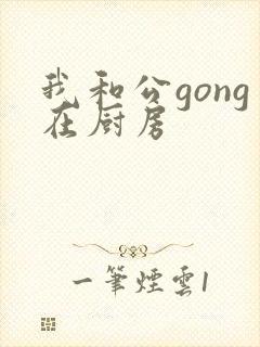 我和公gong在厨房