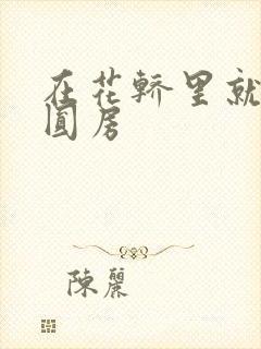 在花轿里就开始圆房