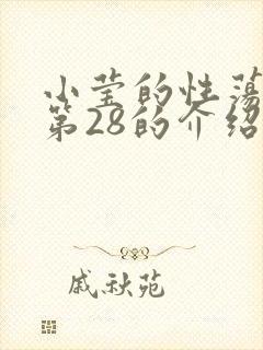 小莹的性荡生活第28的介绍