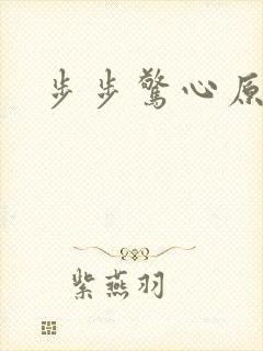 步步惊心原著