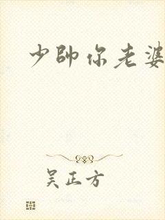 少帅你老婆